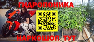 крисы Северобайкальск