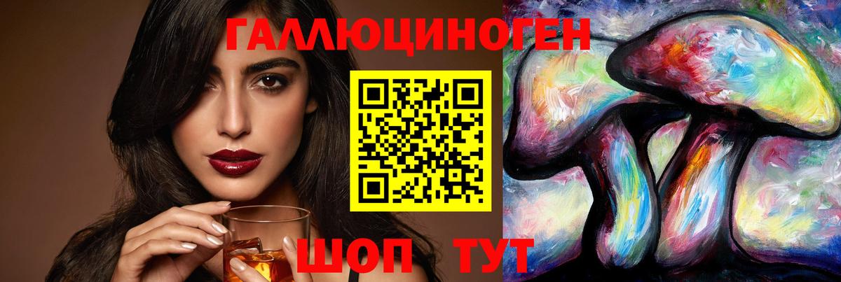 Псилоцибиновые грибы мицелий Новотроицк